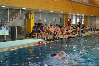 Illustration for article titled Austrian Underwater Rugby Nationals live
